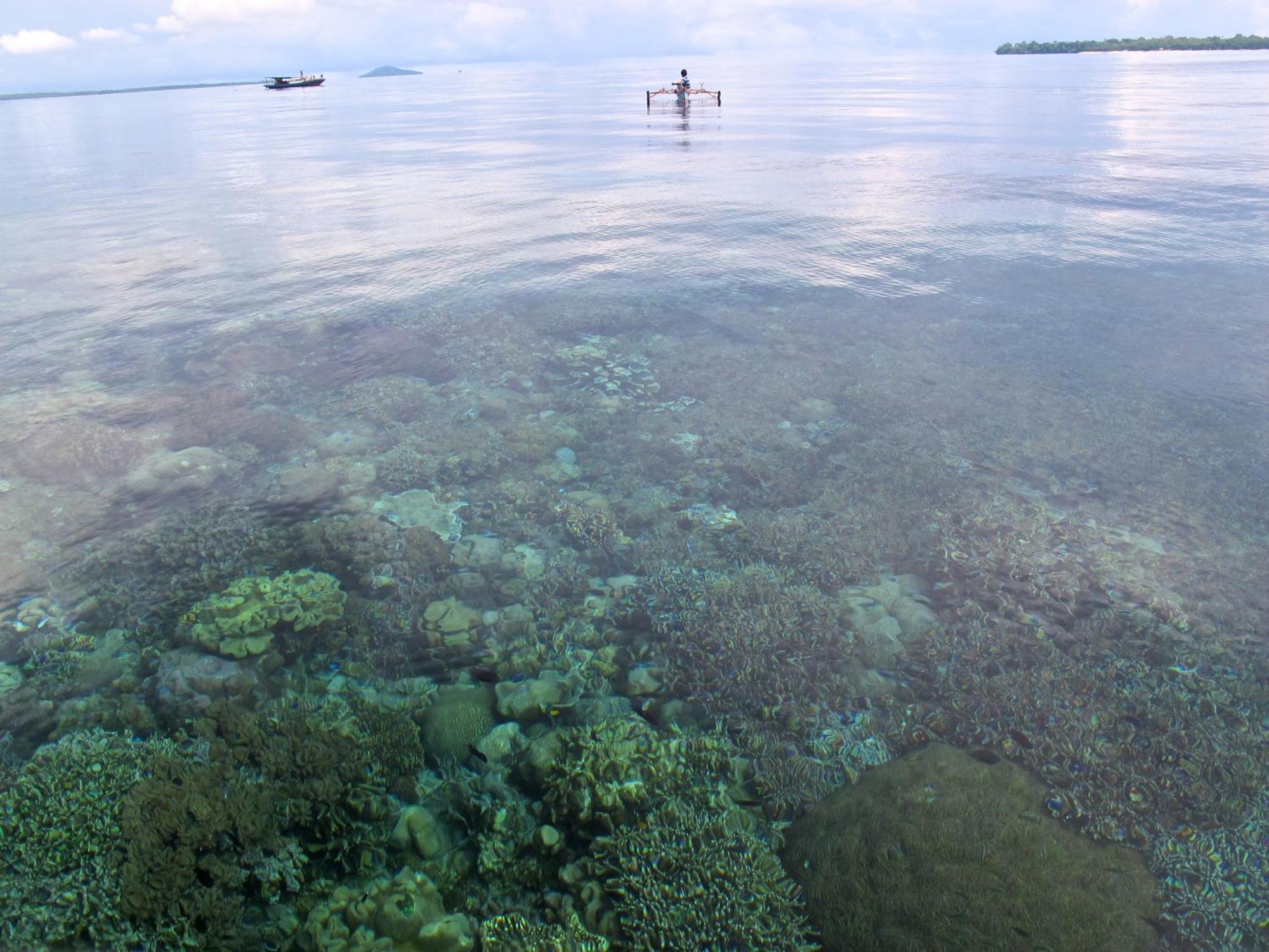 Bunaken Cha Cha Nature Resort Exteriér fotografie